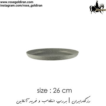 سینی فر پیتزا سایز 26 نچسب ریوالد (طوسی)