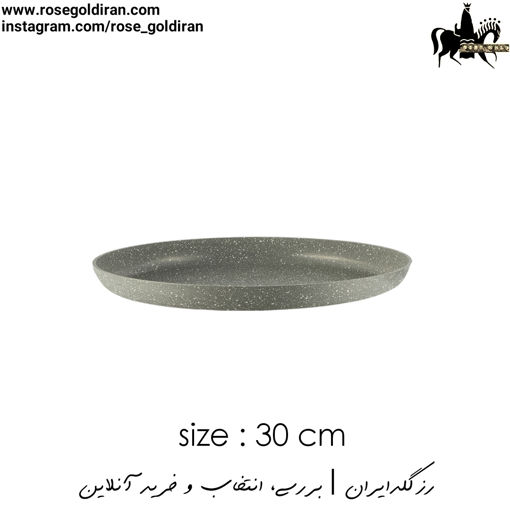 سینی فر پیتزا سایز 30 نچسب ریوالد (طوسی)