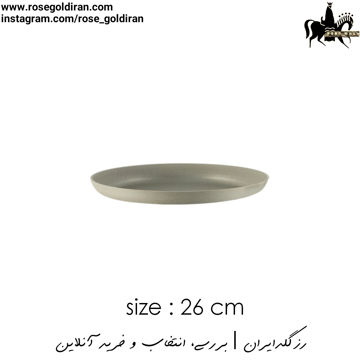 سینی فر پیتزا سایز 26 نچسب ریوالد (بژ)