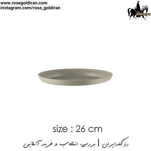 سینی فر پیتزا سایز 26 نچسب ریوالد (بژ)