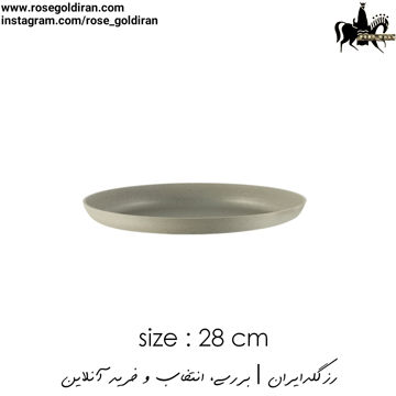 سینی فر پیتزا سایز 28 نچسب ریوالد (بژ)