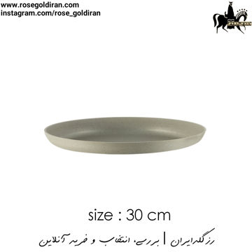 سینی فر پیتزا سایز 30 نچسب ریوالد (بژ)