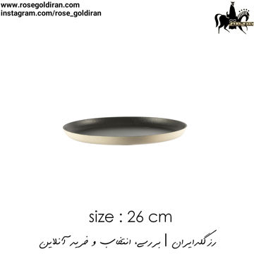 سینی فر پیتزا سایز 26 نچسب ریوالد (کرم)